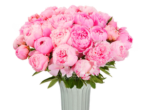 Сара Бернар/пионы розовые